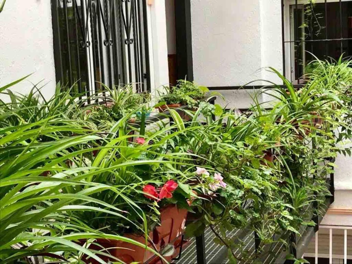 Apartment Flamencos, Malasana Loft 45mq Madrid