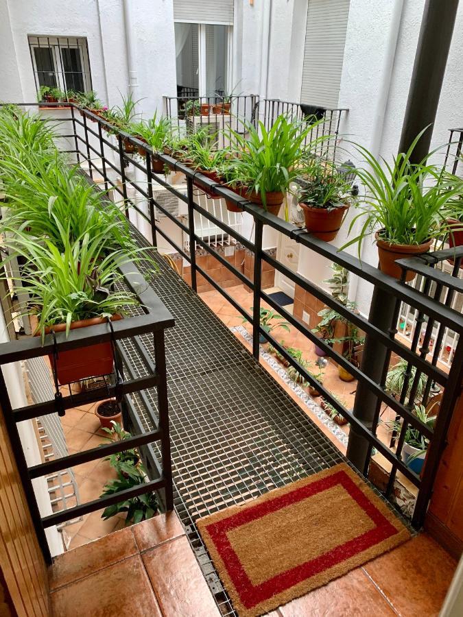 Flamencos, Malasana Loft 45mq Apartament Madrid